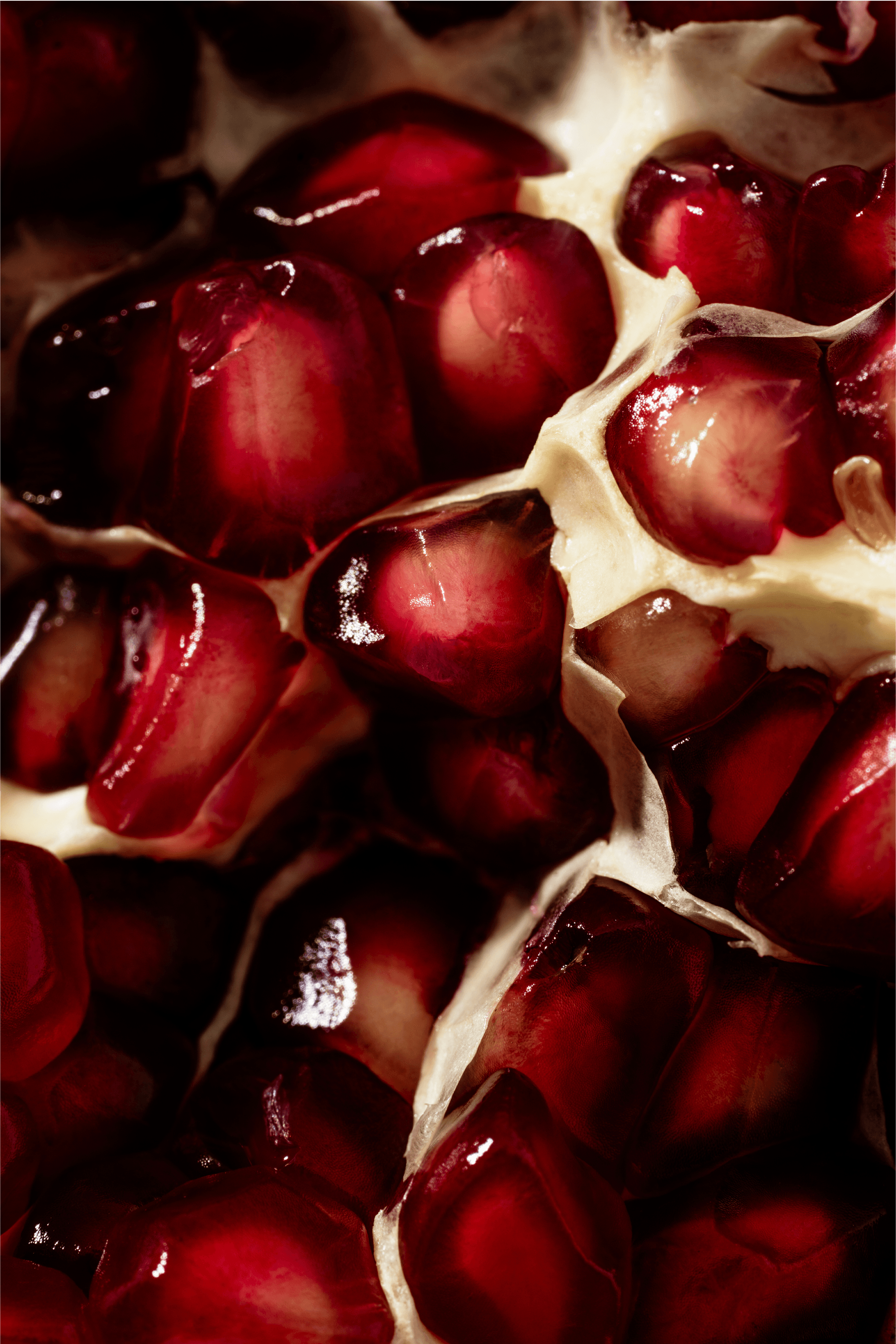 Options de traitement de la ménopause, expliquées.